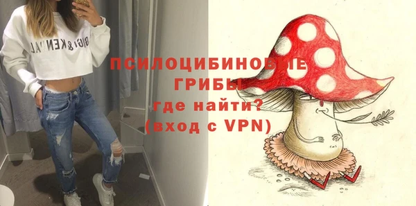 кокс Алексин