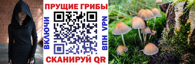 Галлюциногенные грибы прущие грибы  Себеж 